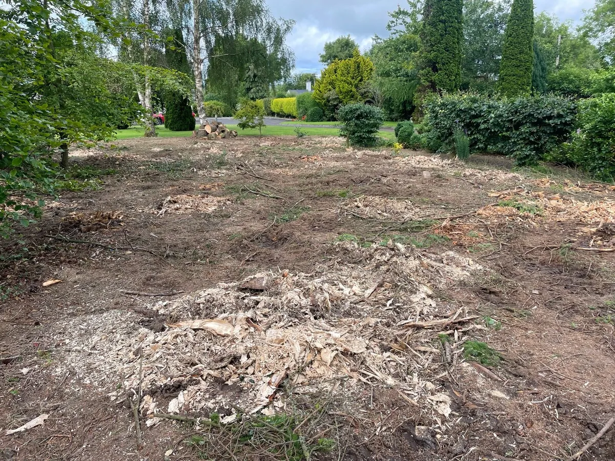 Stump grinding - Image 3