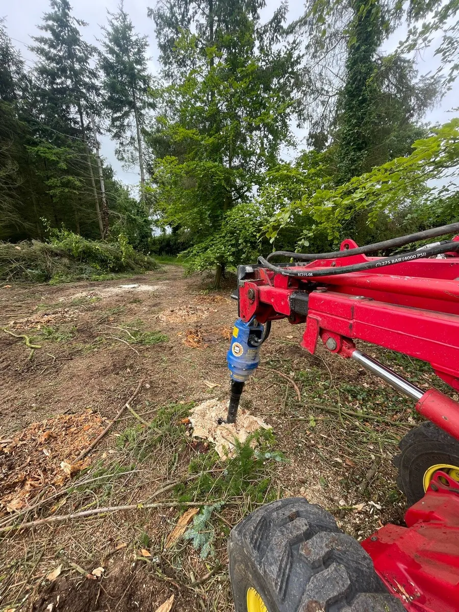 Stump grinding - Image 4