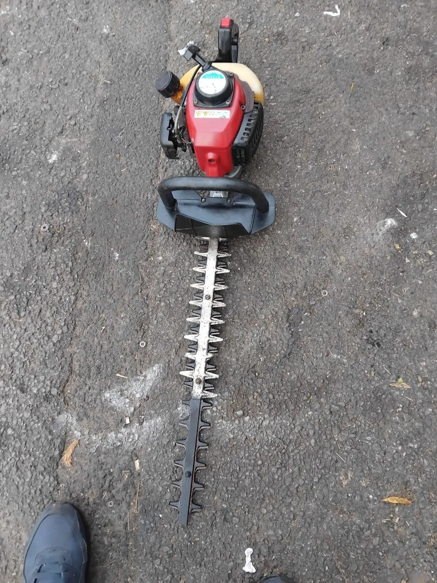 Maruyama HT 2300 hedge strummers - Image 3