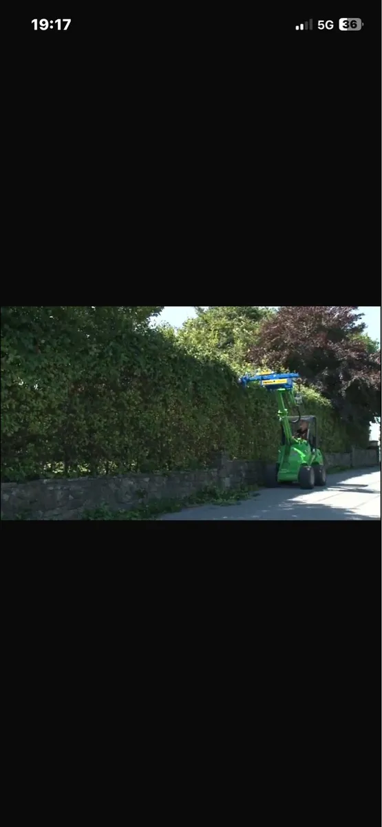 Hedge cutting service - Image 1