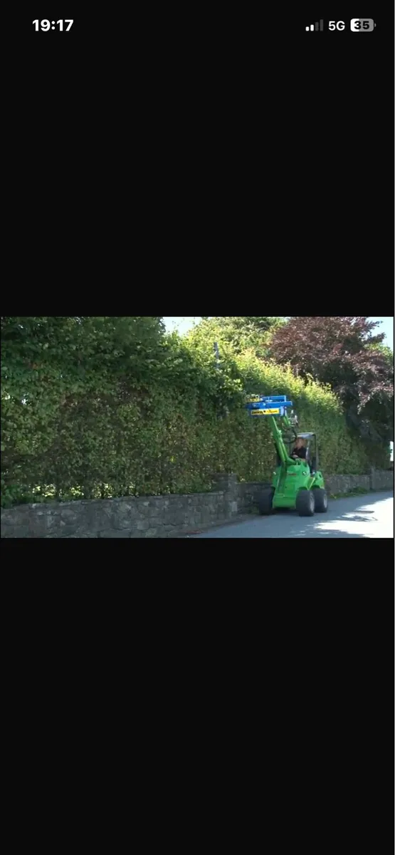 Hedge cutting service - Image 2