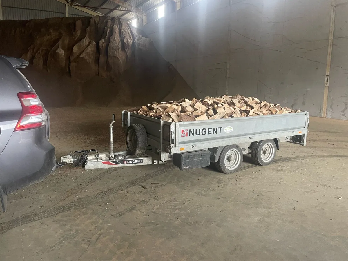 Nugent jeep trailer - Image 1