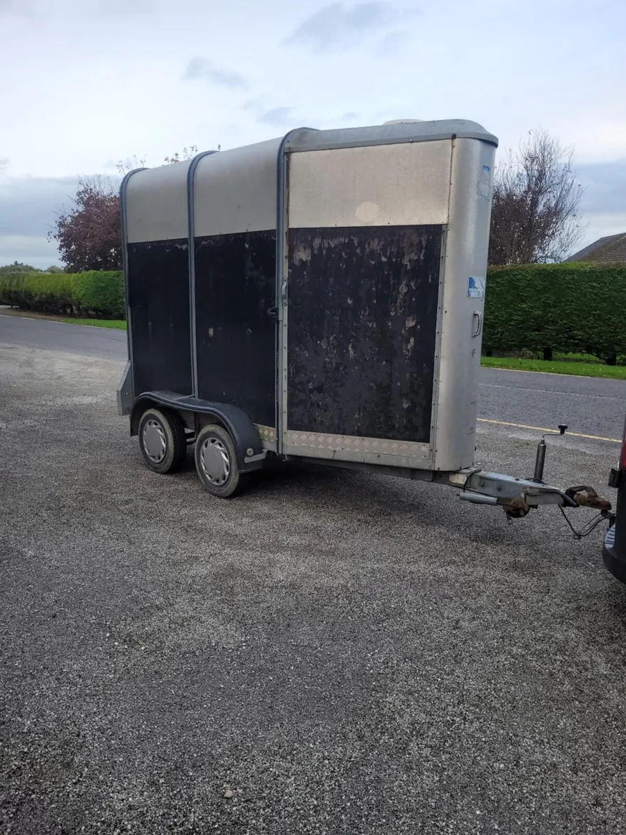 Ifor Williams mare and foal horse box - Image 1