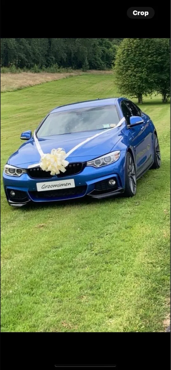 BMW 420D M SPORTS - Image 1