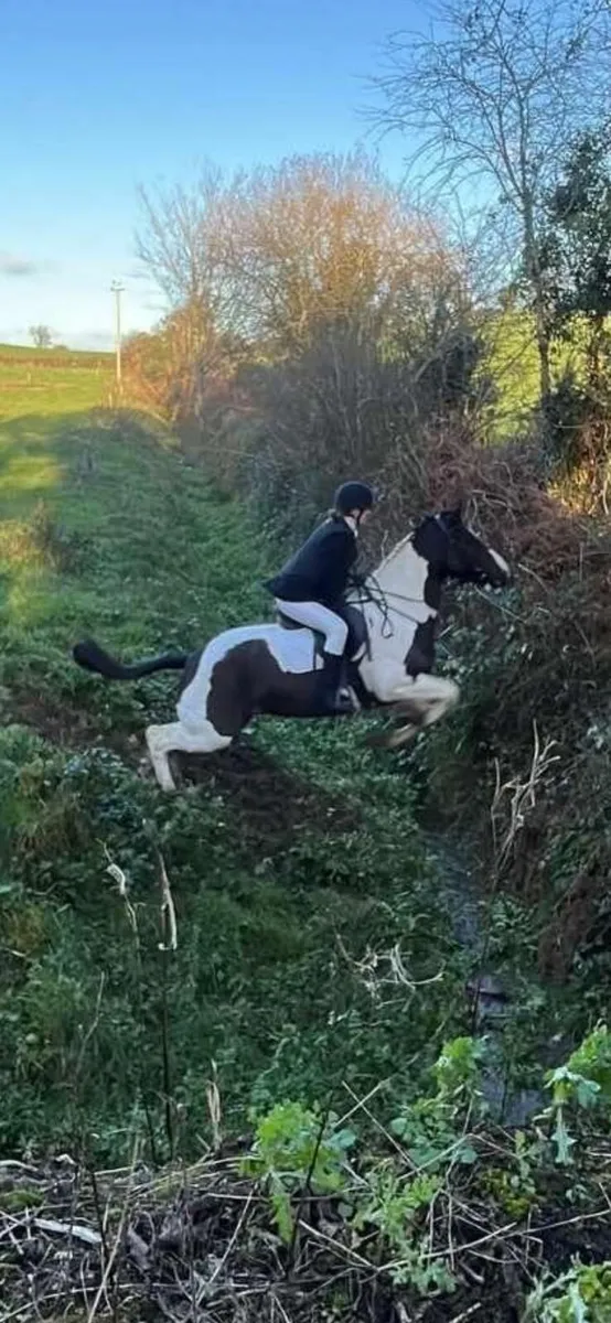 Hunting mare - Image 1