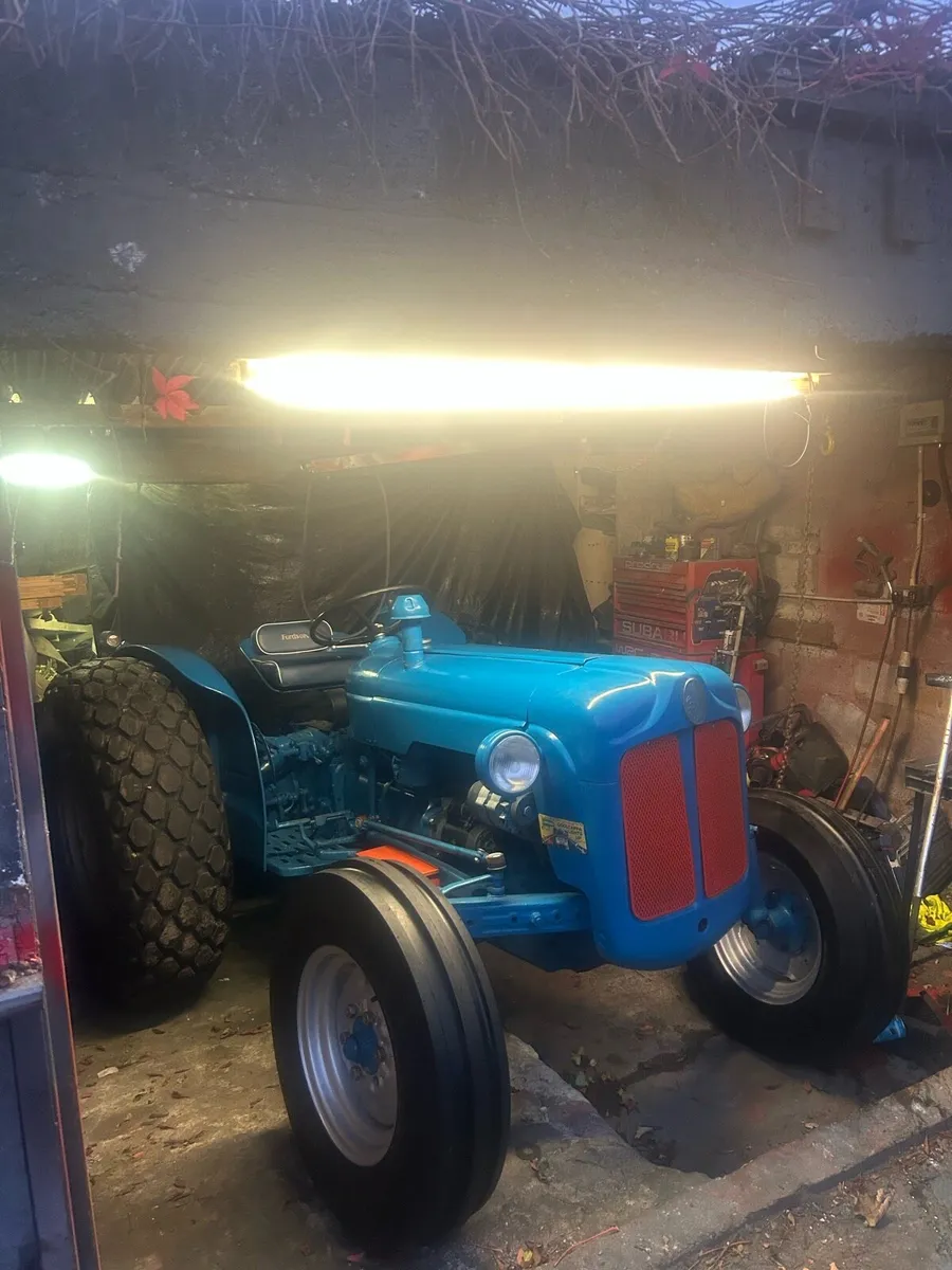 Massey Ferguson industrial yellow 35 / dexta - Image 3