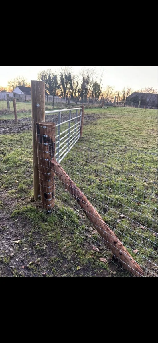 Fencing - Image 3
