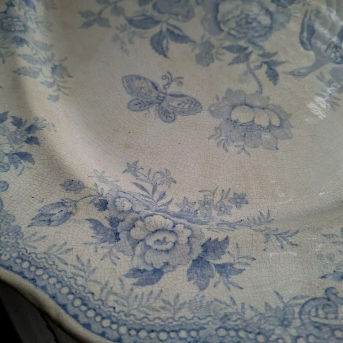 19th Century Asiatic Pheasants Platter - Image 2