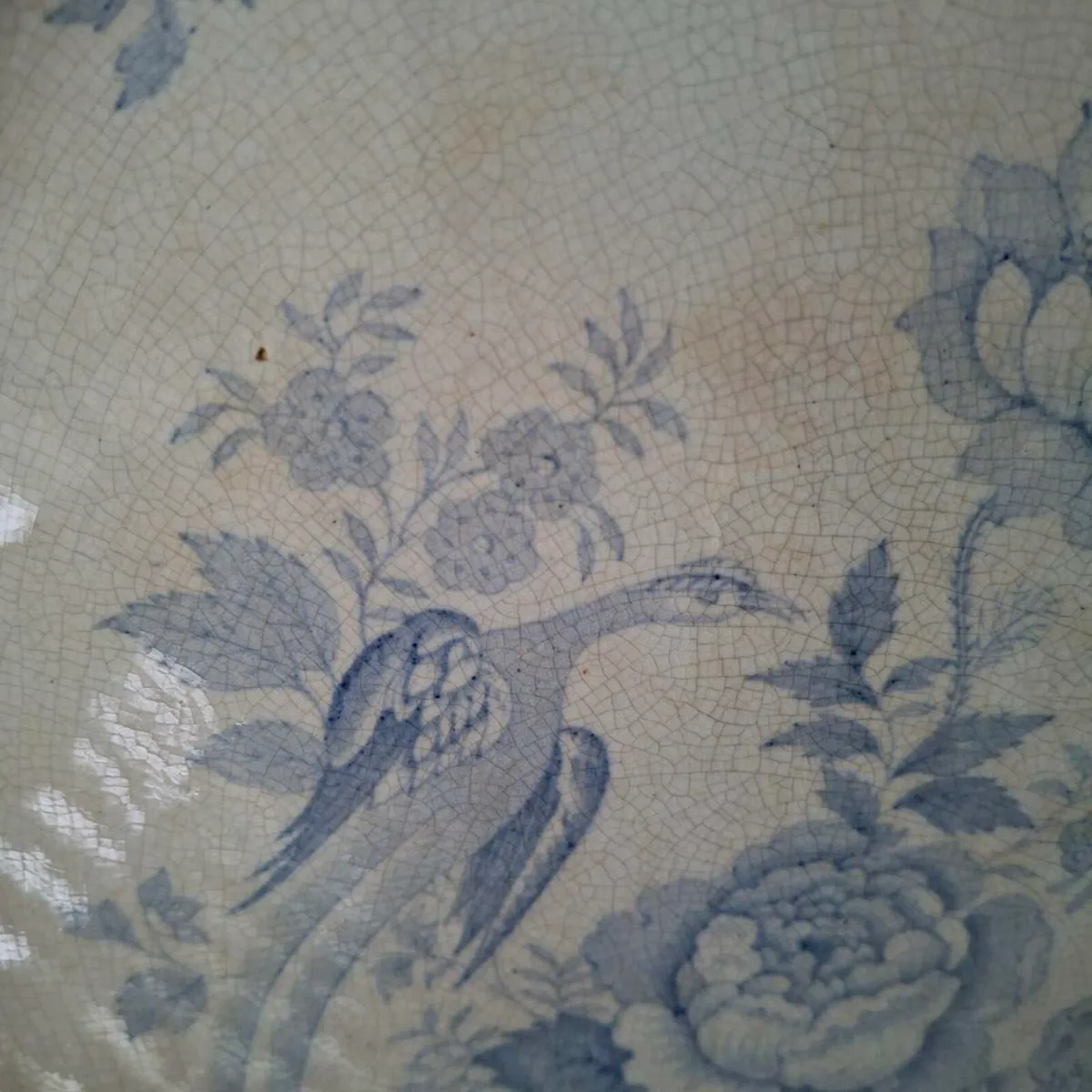 19th Century Asiatic Pheasants Platter - Image 3