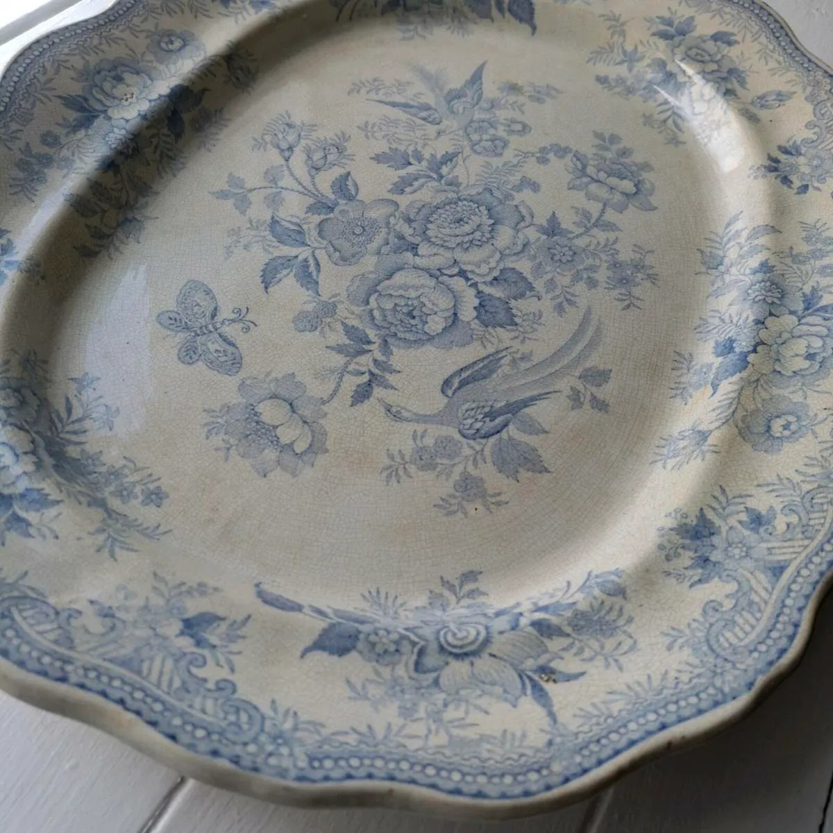 19th Century Asiatic Pheasants Platter - Image 4