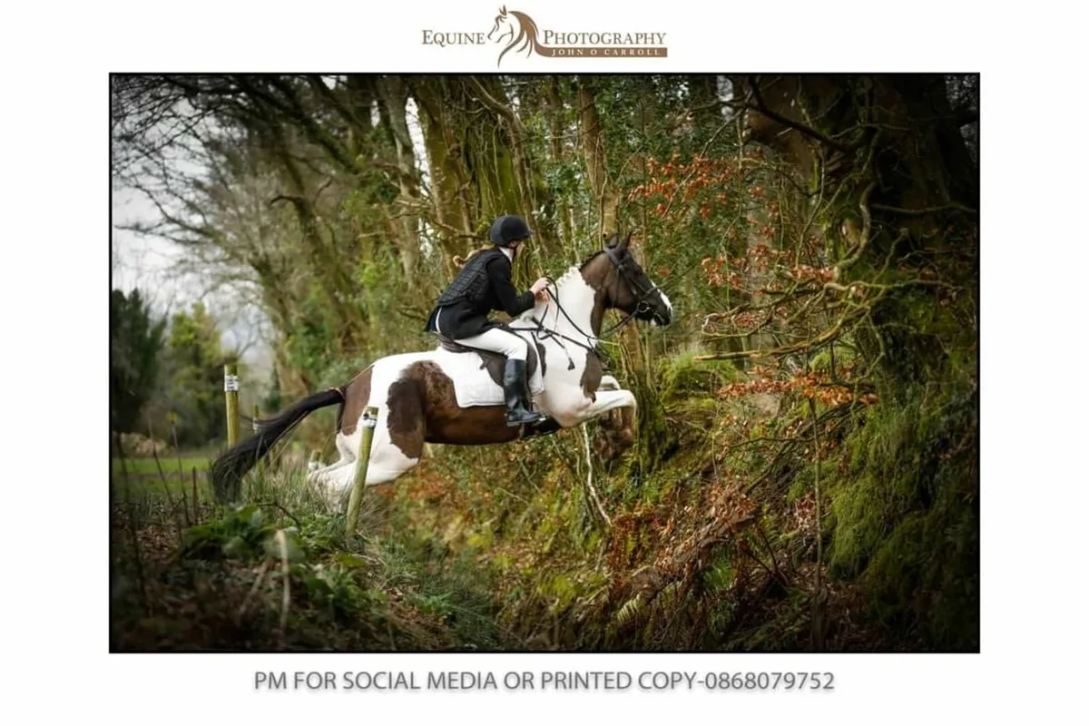 Hunting mare - Image 3