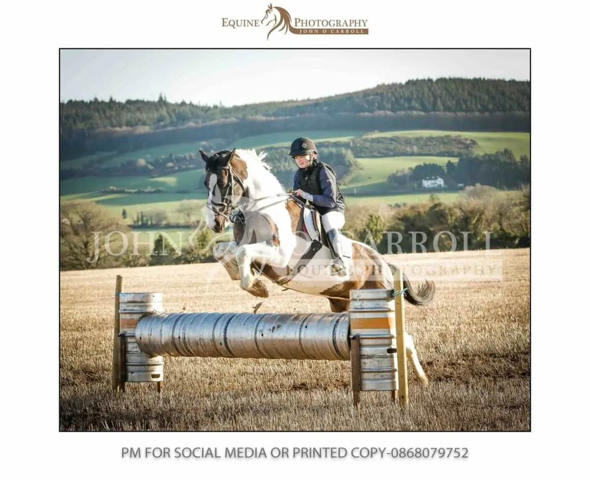Hunting mare - Image 4
