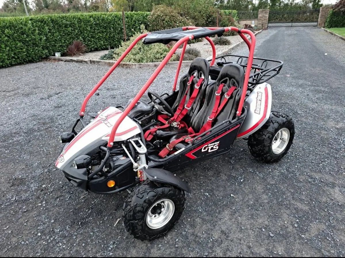 Hammerhead Offroad Buggy - Image 1