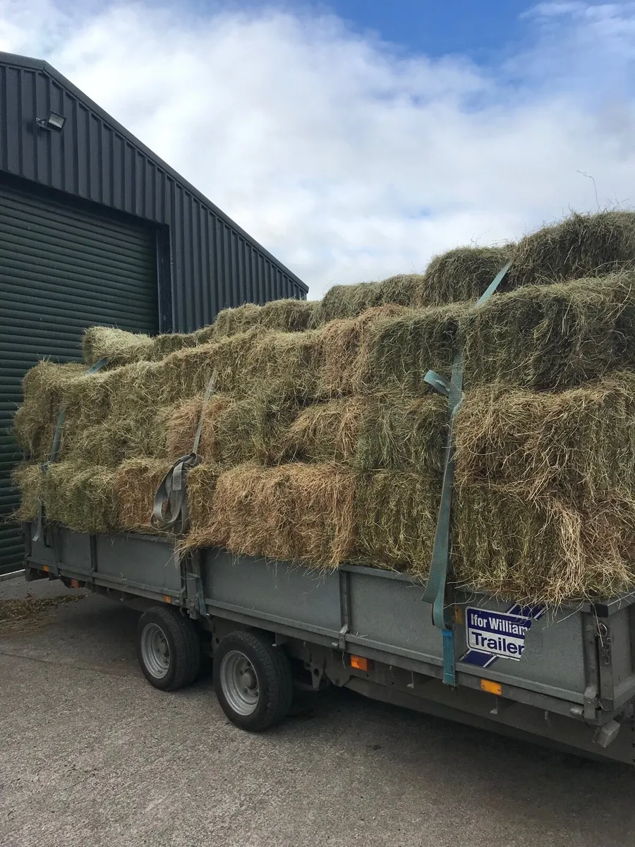 Square bale hay - Image 1