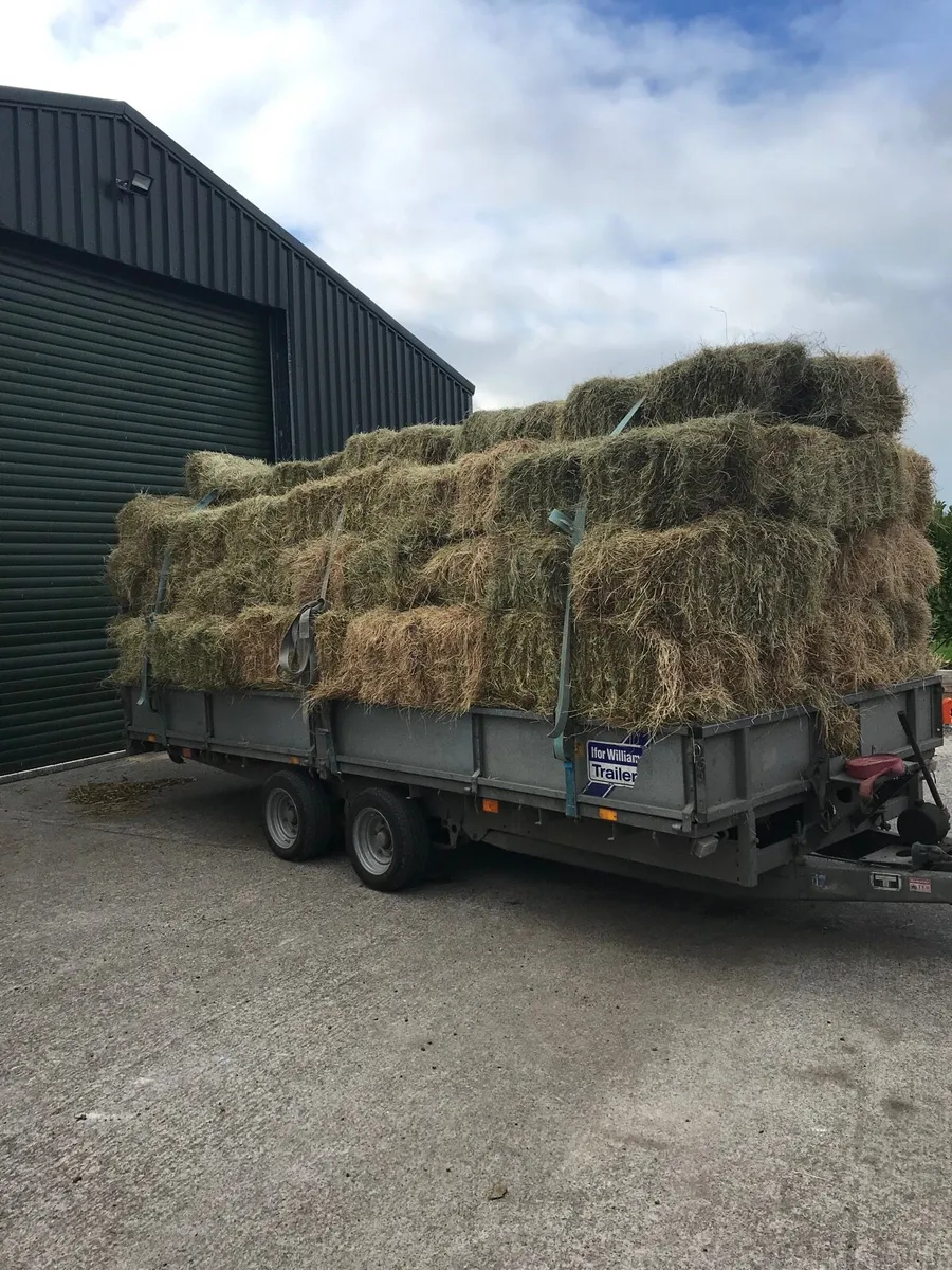 Square bale hay - Image 2