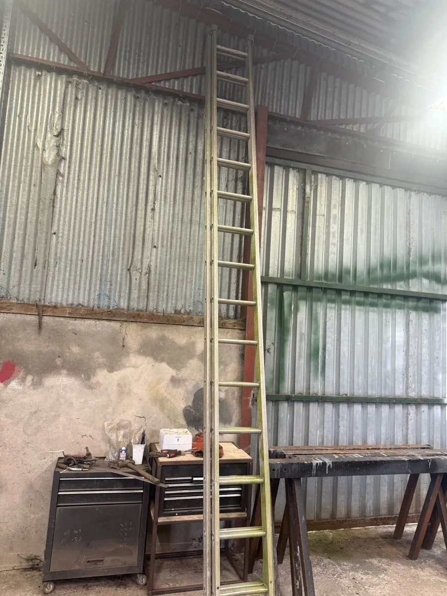 Ladder - Image 1
