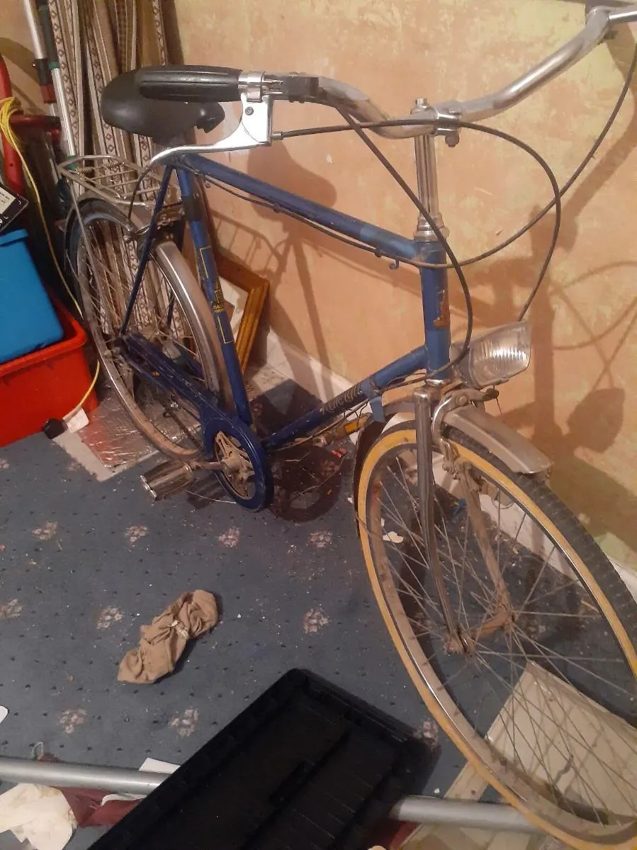 Raleigh bike - Image 1