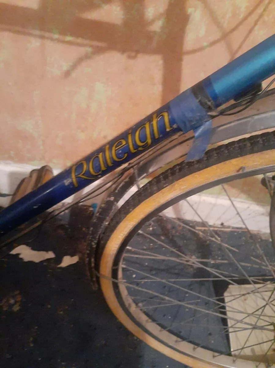 Raleigh bike - Image 3