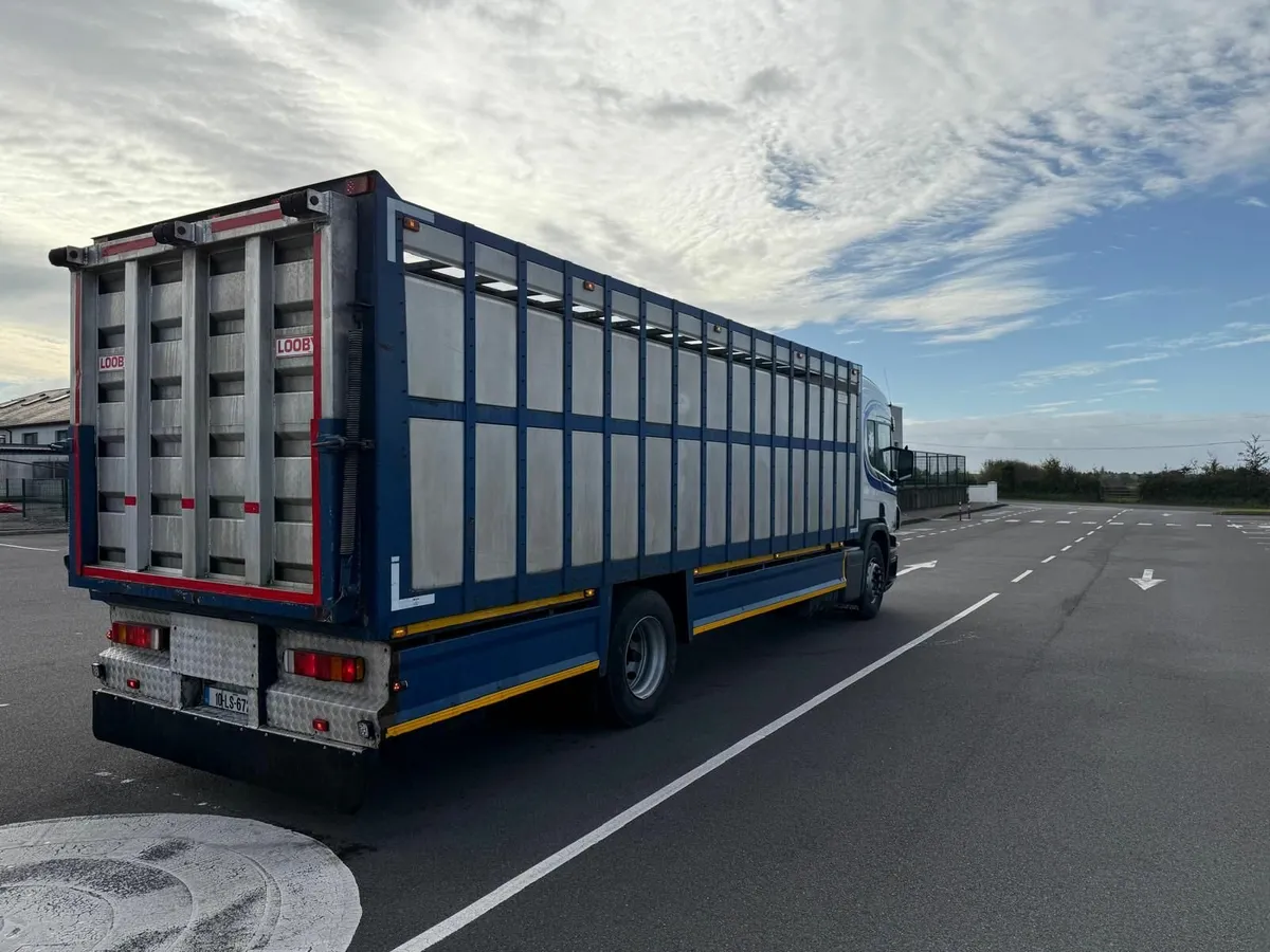 Scania Cattle Truck - Image 3