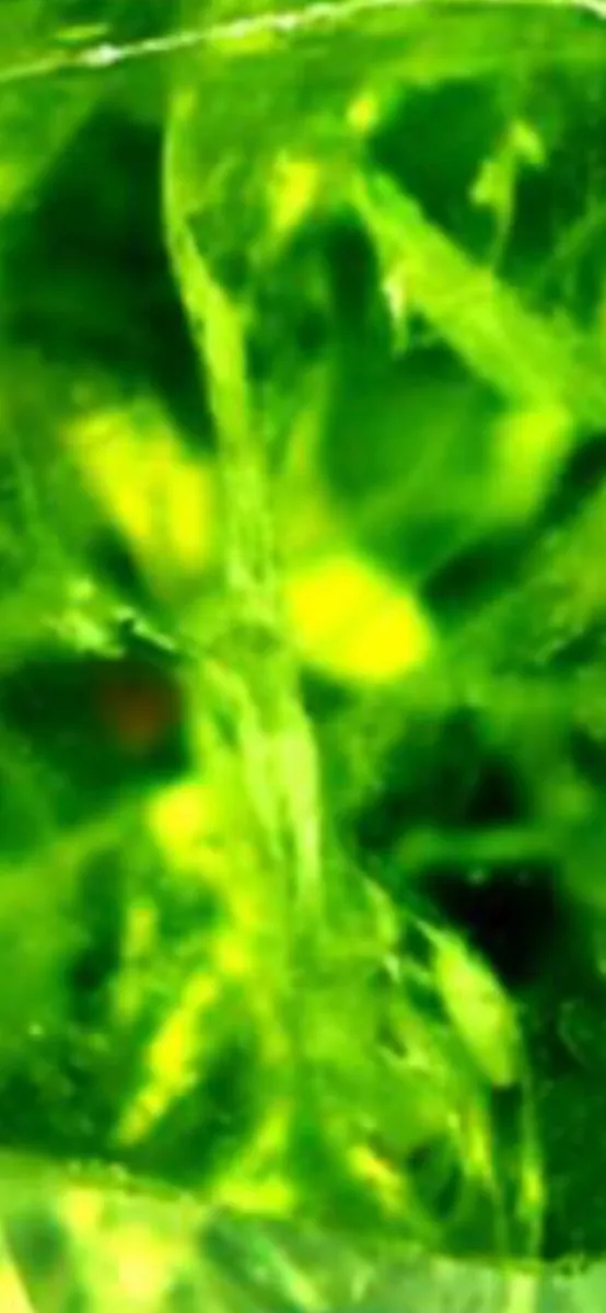 Green Demantoid Garnet 2.24 ct - Image 1