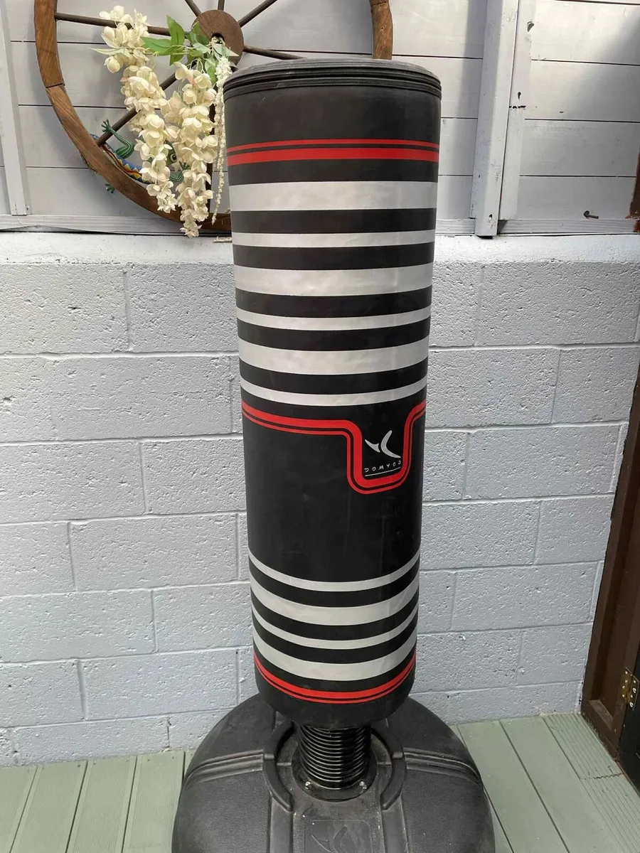 PUNCHING BAG - Image 1