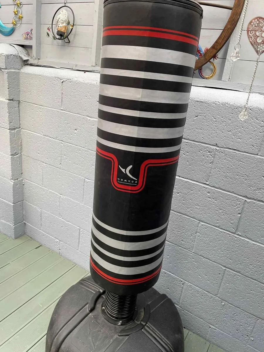 PUNCHING BAG - Image 2