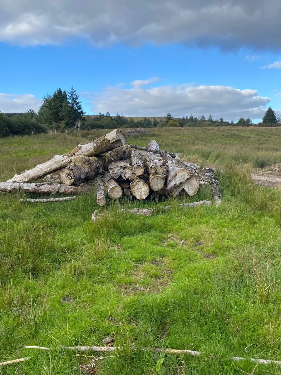 Fire wood - Image 1
