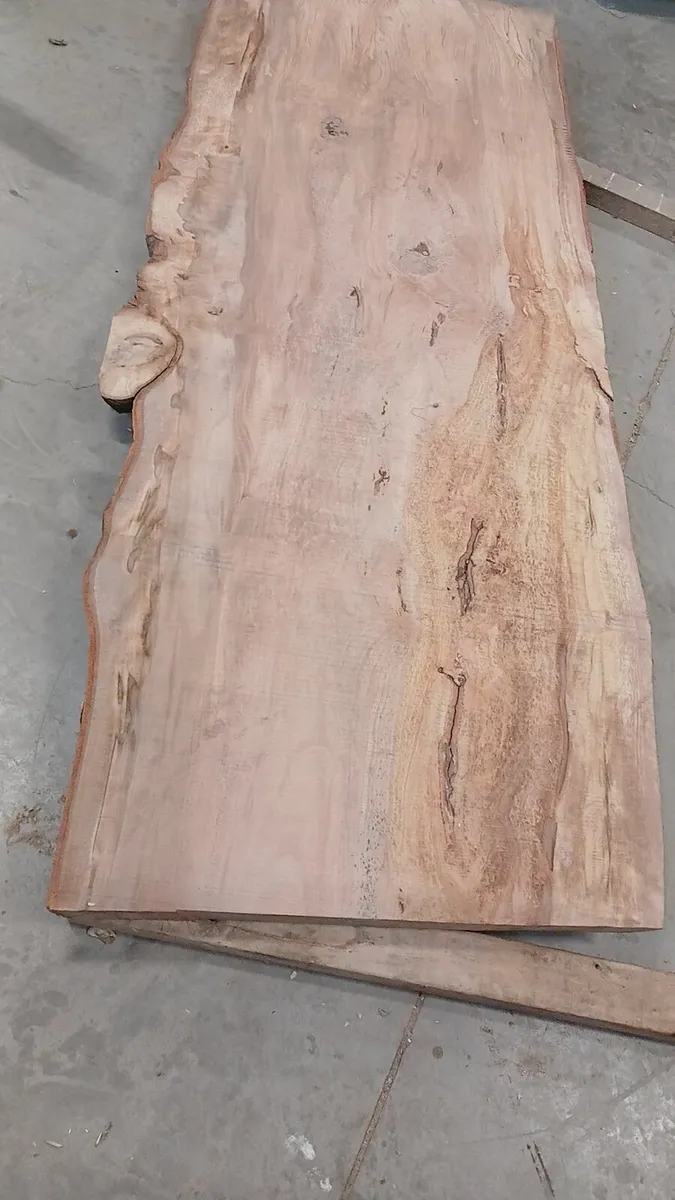 Fresh cut table slabs oak beach monkey puzzle kitc - Image 3