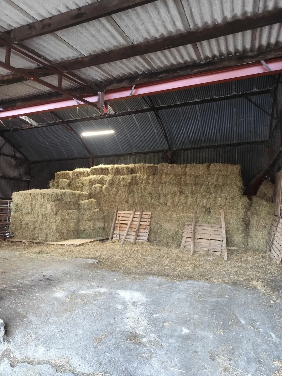 Hay - Image 1