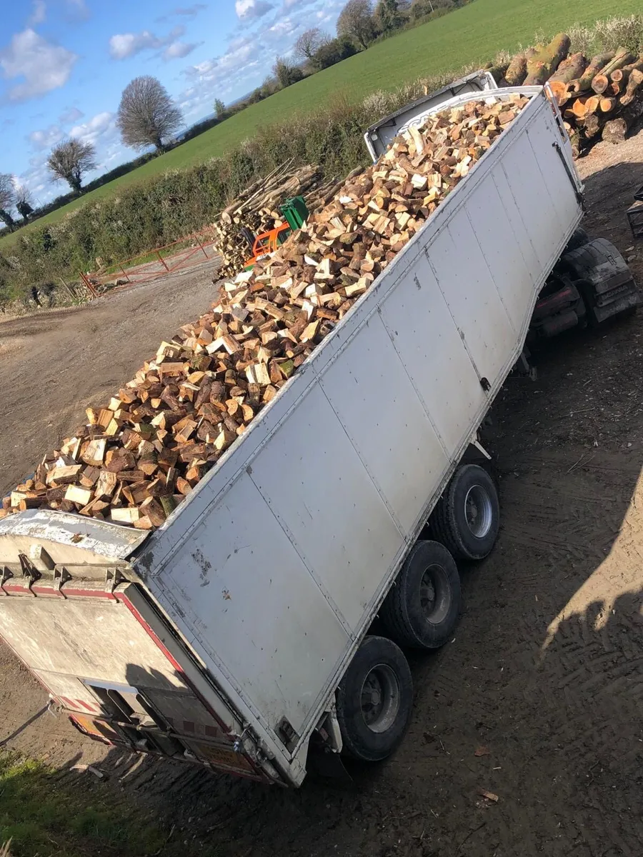 FIREWOOD - Image 1