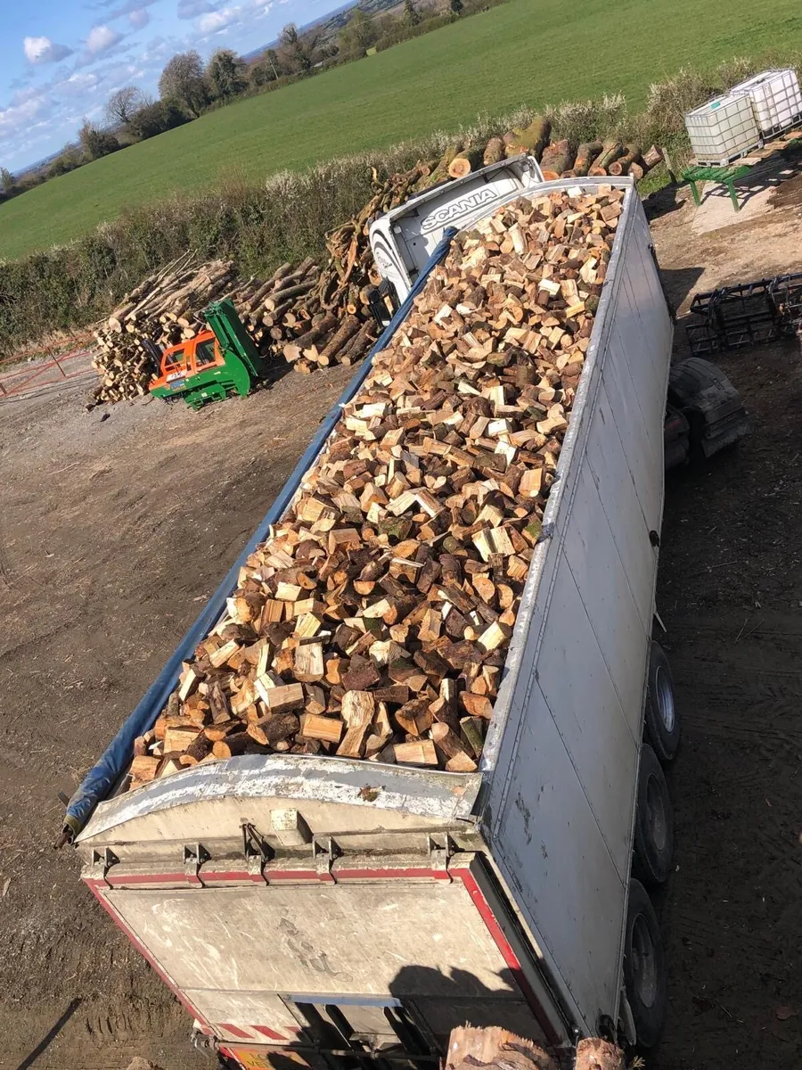 FIREWOOD - Image 2