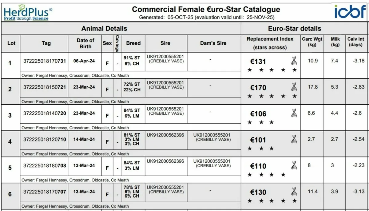 In Calf Stabiliser X Heifers - Image 3