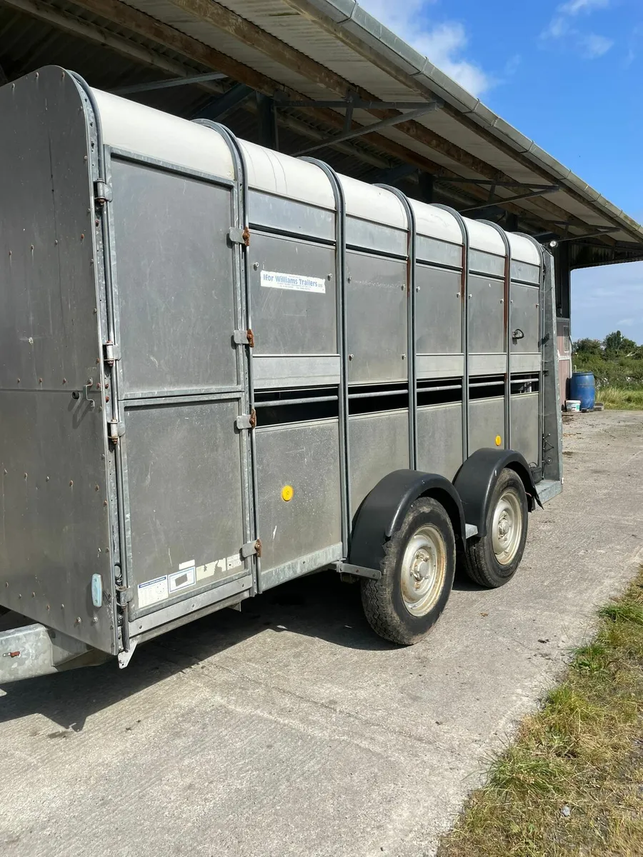 Cattle Trailer - Image 2