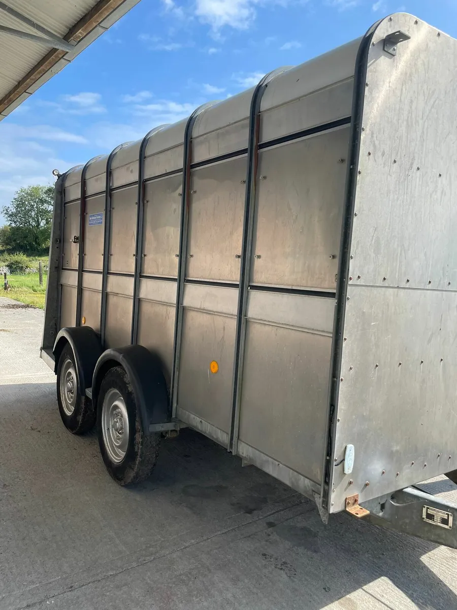 Cattle Trailer - Image 3