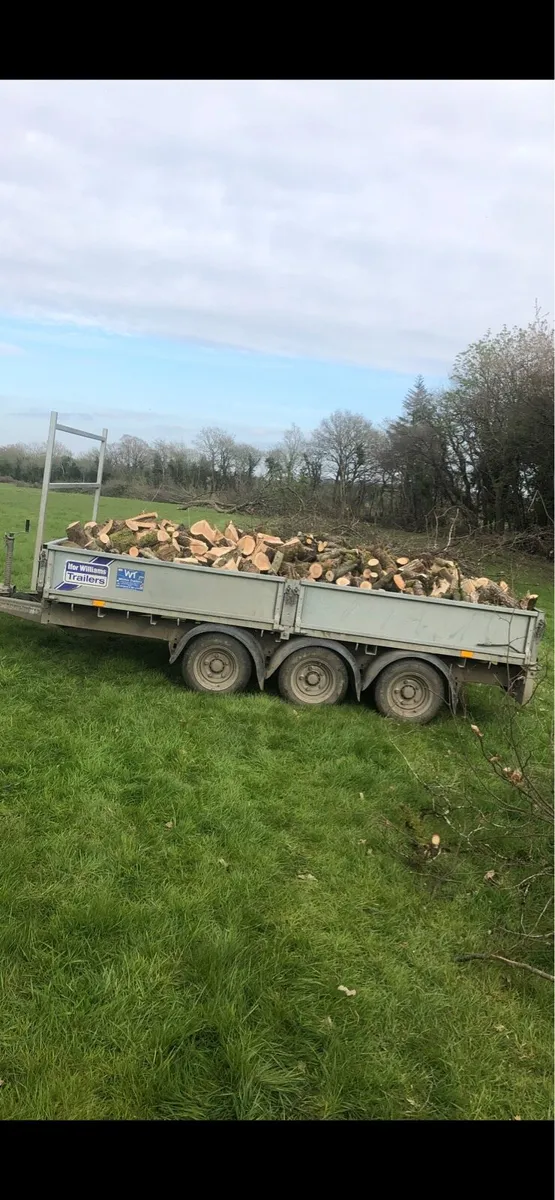 Firewood - Image 1