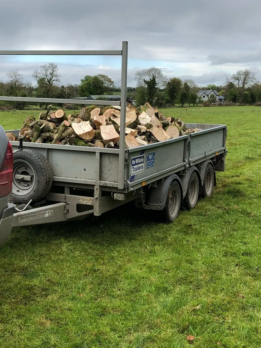 Firewood - Image 2