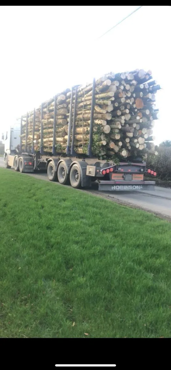 FIREWOOD - Image 1