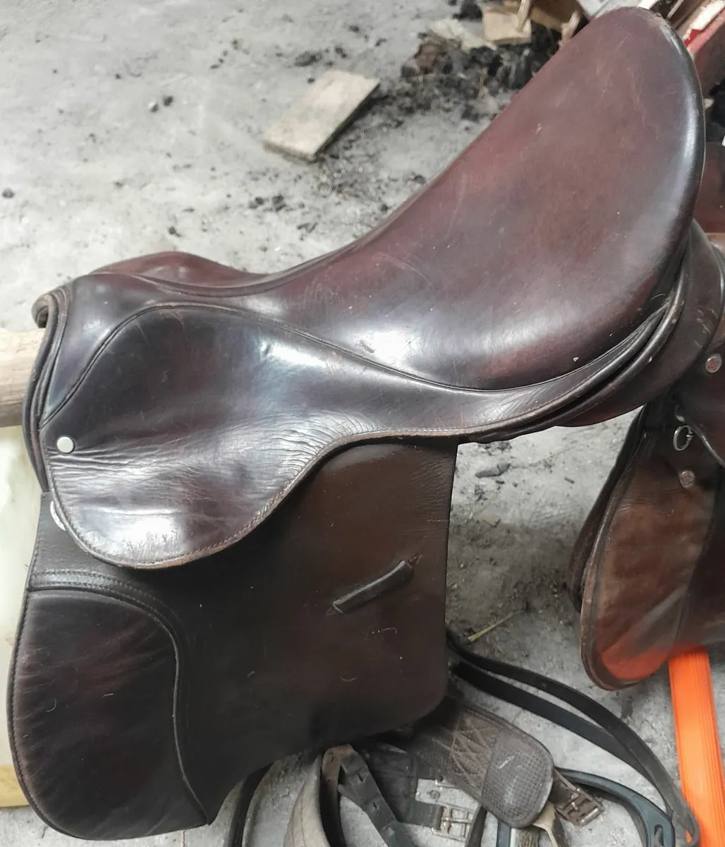 Two Saddles - Image 1
