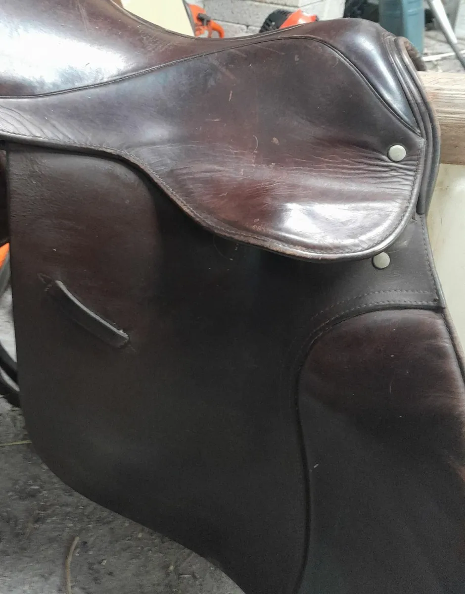 Two Saddles - Image 2
