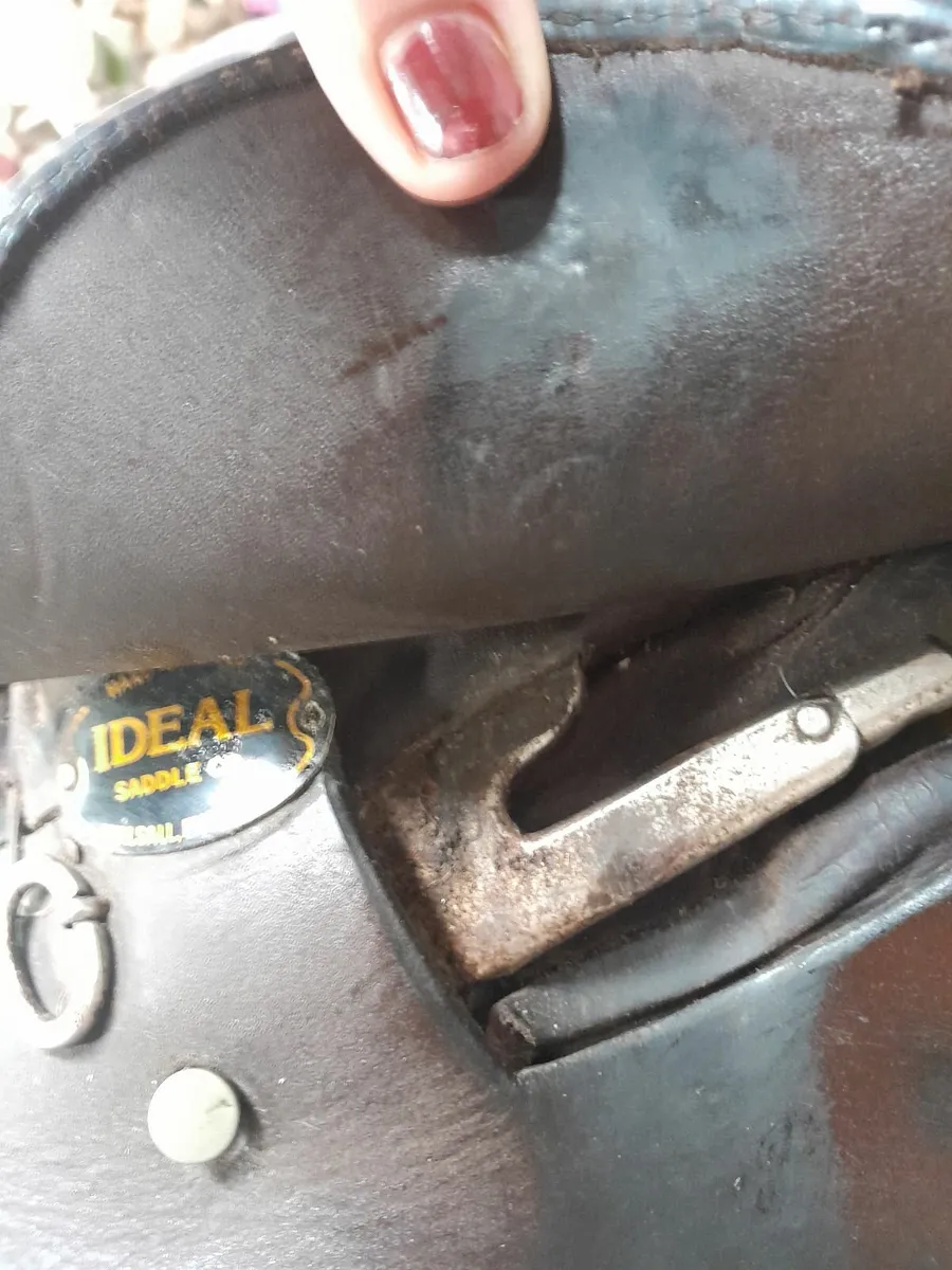 Two Saddles - Image 3