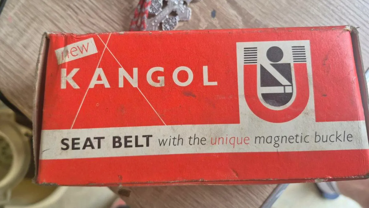 Kangol Classic Seatbelt That Would Look Fabulous I - Image 3