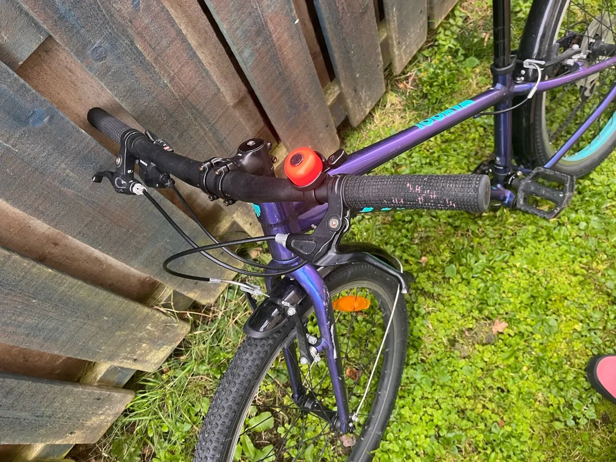 Trek wahoo 24” bike - Image 4