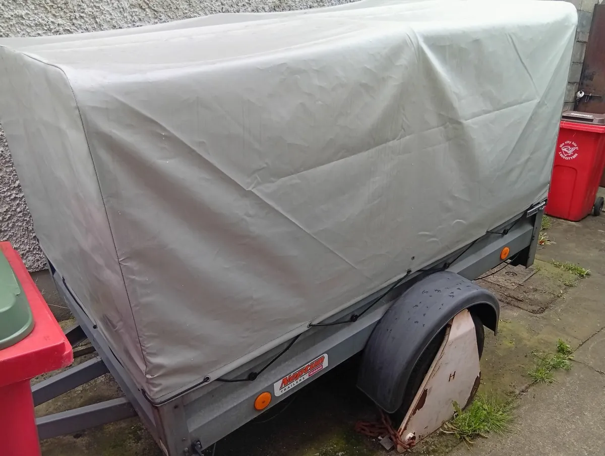 Quality Galvanised trailer with removable canopy - Image 1