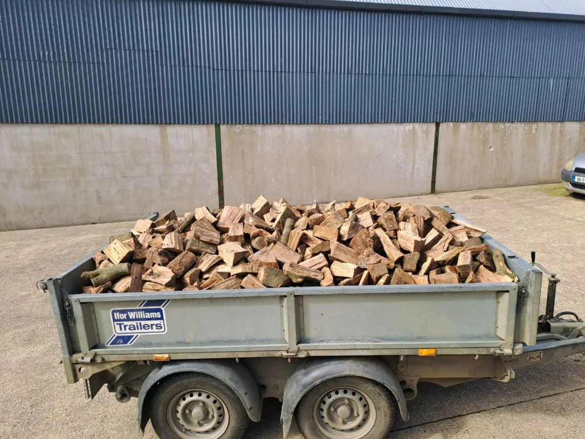Firewood - Image 1
