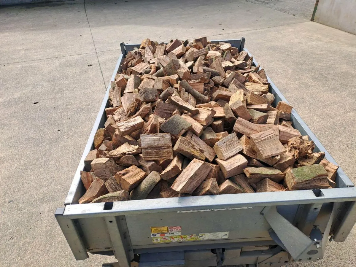 Firewood - Image 2