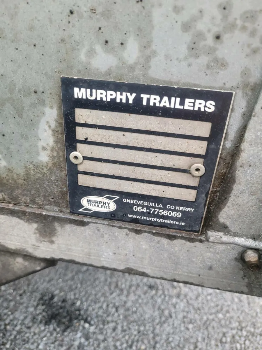 Murphys Trailer 2019, 8x4. - Image 4