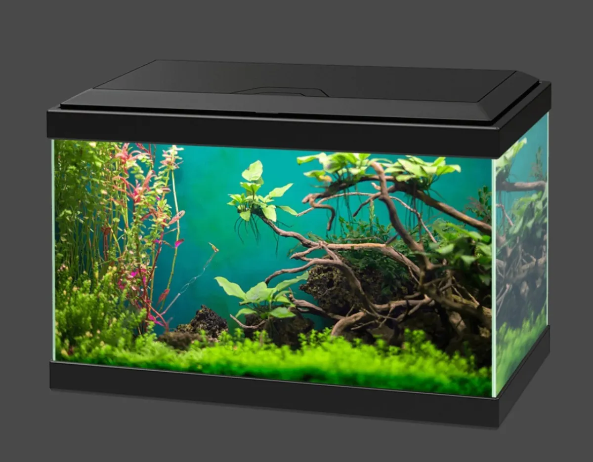 Ciano 20 fish tank 17litre. €25 - Image 2