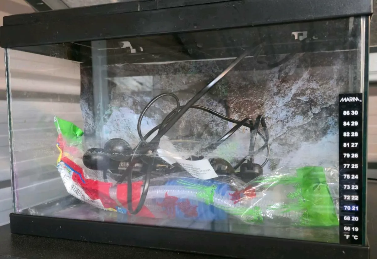 Ciano 20 fish tank 17litre. €25 - Image 3