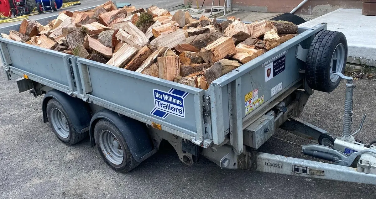 Firewood - Image 1