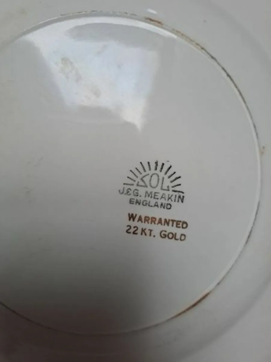 J & G Meakin plate with 22k gold - Image 3